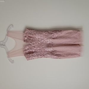 bcbg light pink lace dress Cailean Short Sleeve Lace Dress